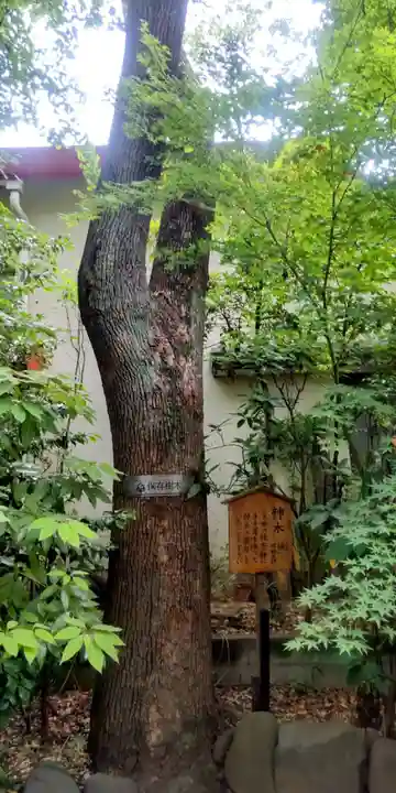 梅田神明宮(東京都)