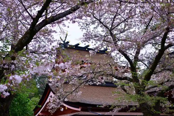 富士山本宮浅間大社の本殿・本堂