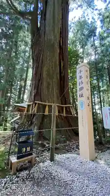 鷲子山上神社(栃木県)