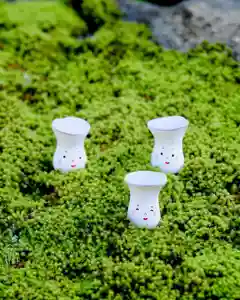 浄土寺(兵庫県)(2023年12月09日(土) 07時13分31秒投稿)