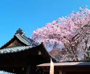 差出磯大嶽山神社 仕事と健康と厄よけの神さまの自然(2023年04月01日(土) 11時37分48秒投稿)