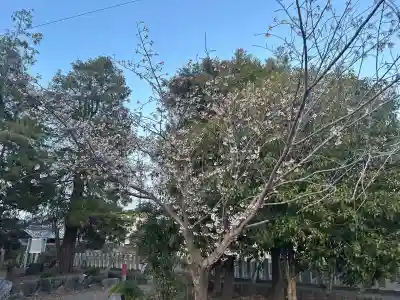 加毛神社(岐阜県)
