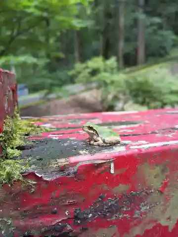 中野神社(福井県)