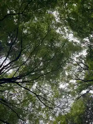宝登山神社奥宮(埼玉県)
