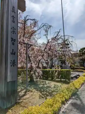  智積院(京都府)