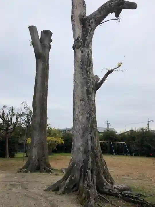 巨椋神社の自然