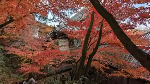 禅林寺（永観堂）(京都府)