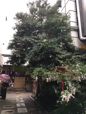 朝日神社(東京都)