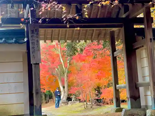 円光寺の山門