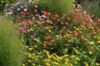 高司神社〜むすびの神の鎮まる社〜の庭園