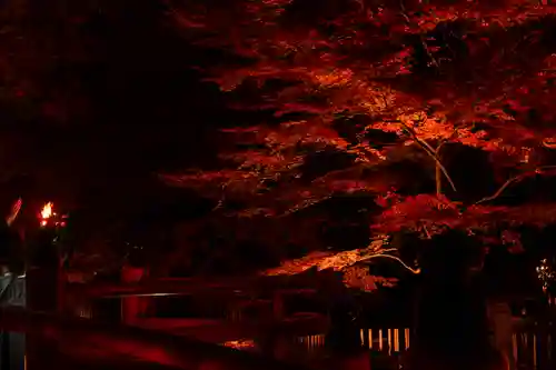 北野天満宮(京都府)