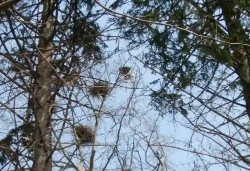 長沼神社(北海道)