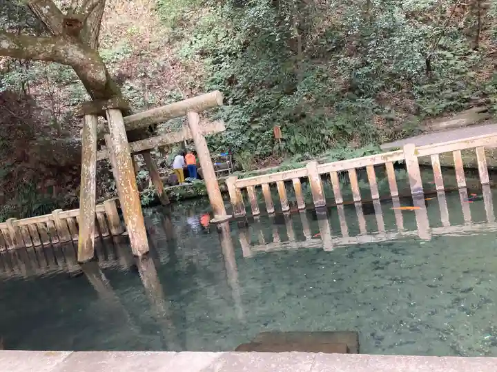 鹿島神宮(茨城県)