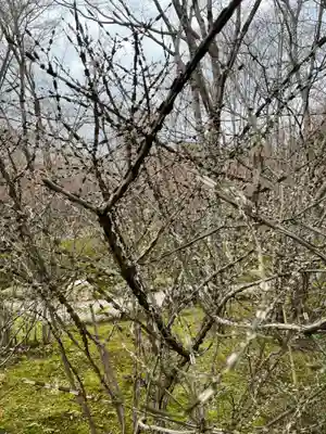 宝筐院(京都府)