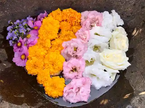 真言宗　善通寺派　薬王寺(香川県)