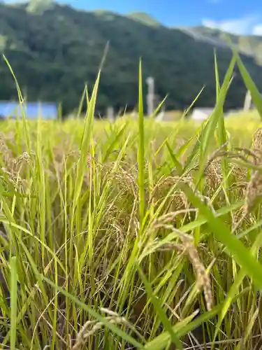 山家神社(長野県)