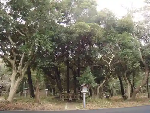 大洗磯前神社の自然