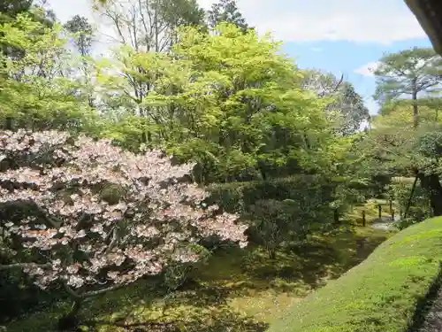 桂春院(京都府)