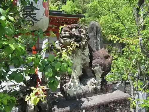 長岡天満宮の狛犬