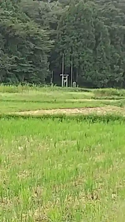 北野神社の鳥居