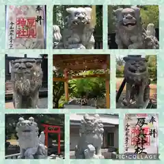 厚真神社の狛犬