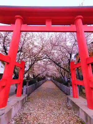 八幡社（毛受）の鳥居