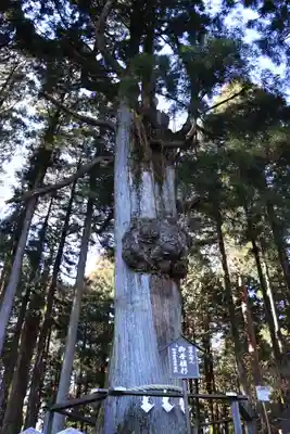 久遠寺(山梨県)
