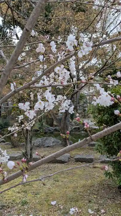 欣浄寺(京都府)