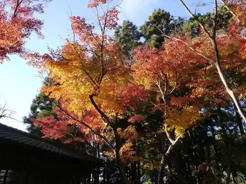 本土寺の景色