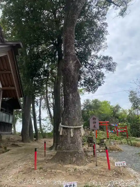 飯福神社の{uncategorized: "未分類", other: "その他", undefined: "問題あり", building: "その他建物", grave: "お墓", sacred_gate: "鳥居", guardian: "狛犬", statue: "像", buddha: "仏像", history: "歴史", nature: "自然", garden: "庭園", animal: "動物", pagoda: "塔", temizu: "手水舎", mountain_gate: "山門・神門", sanctuary: "本殿・本堂", subordinate: "末社・摂社", art: "芸術", scenery: "景色", jizo: "地蔵", ema: "絵馬", goshuin: "御朱印", omikuji: "おみくじ", items: "授与品その他", amulet: "お守り", goshuincho: "御朱印帳", eats: "食事", festival: "お祭り", votive_dance: "神楽", shichigosan: "七五三参", wedding: "結婚式", experience: "体験その他", initially: "初詣", around: "周辺", anti_infection: "感染症対策"}