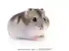 うみゅ