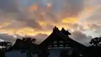 妙心寺(妙心禅寺)の自然