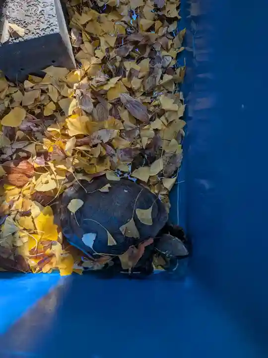 下谷神社(東京都)