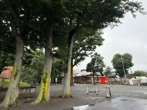 相模原氷川神社(神奈川県)