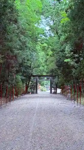 大和神社(奈良県)