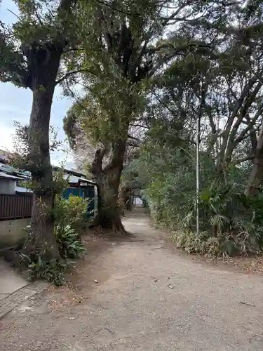 子安神社(千葉県)
