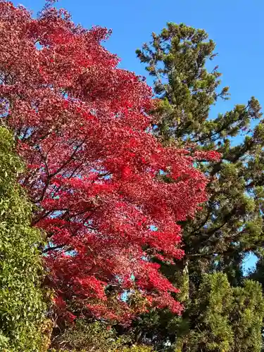 鶴林寺(徳島県)