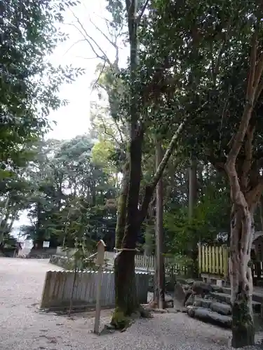 往馬坐伊古麻都比古神社(奈良県)