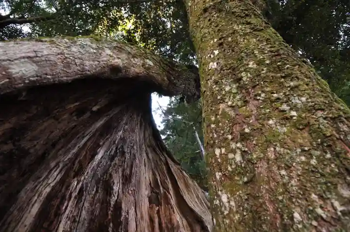 弓削神社(愛媛県)