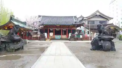 浅草神社の本殿・本堂