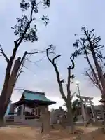 熊野福藏神社の本殿・本堂