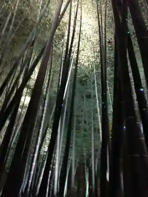 高台寺（高台寿聖禅寺・高臺寺）(京都府)