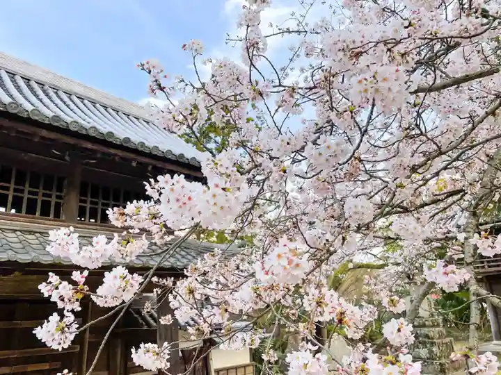 伊勢の国 四天王寺の自然