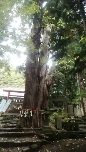 磐椅神社(福島県)