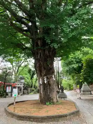 鳩森八幡神社(東京都)
