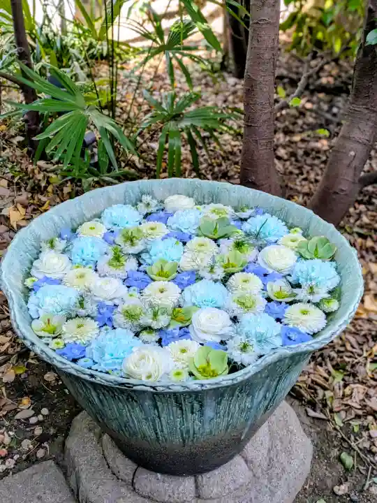 行田八幡神社の{uncategorized: "未分類", other: "その他", undefined: "問題あり", building: "その他建物", grave: "お墓", sacred_gate: "鳥居", guardian: "狛犬", statue: "像", buddha: "仏像", history: "歴史", nature: "自然", garden: "庭園", animal: "動物", pagoda: "塔", temizu: "手水舎", mountain_gate: "山門・神門", sanctuary: "本殿・本堂", subordinate: "末社・摂社", art: "芸術", scenery: "景色", jizo: "地蔵", ema: "絵馬", goshuin: "御朱印", omikuji: "おみくじ", items: "授与品その他", amulet: "お守り", goshuincho: "御朱印帳", eats: "食事", festival: "お祭り", votive_dance: "神楽", shichigosan: "七五三参", wedding: "結婚式", experience: "体験その他", initially: "初詣", around: "周辺", anti_infection: "感染症対策"}