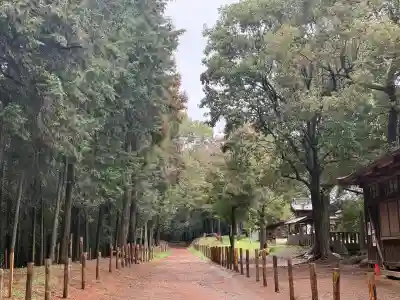 出雲伊波比神社(埼玉県)