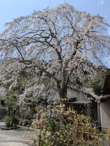 紹太寺(神奈川県)