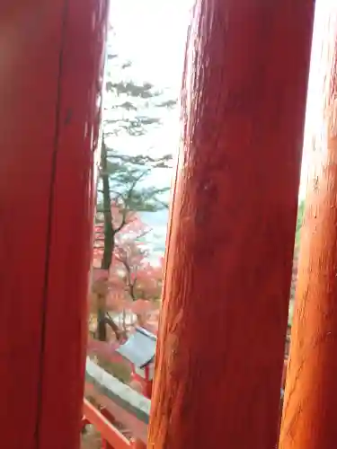 太皷谷稲成神社(島根県)