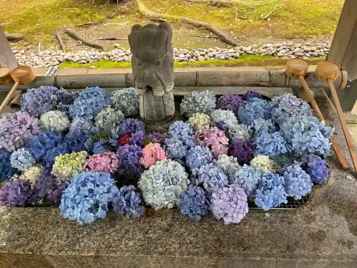 足羽神社(福井県)